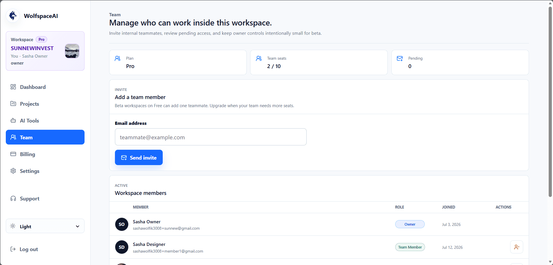 WolfspaceAI team access management